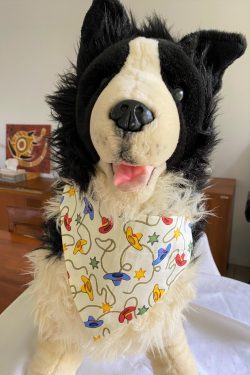 Dog Bandana Cowboys